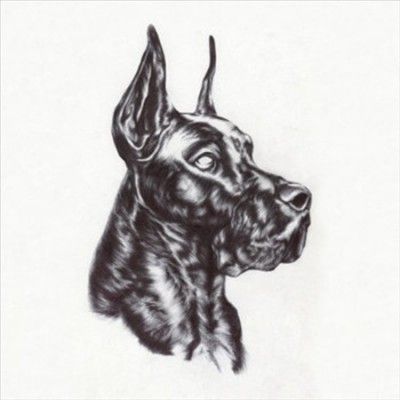 Great Dane - Alpha Dog (Vinyl)