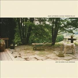 Mary Lattimore - And The Birds Flew Overhead (Vinyl)