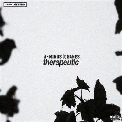 A Minus X Changes - Therapeutic (Vinyl)