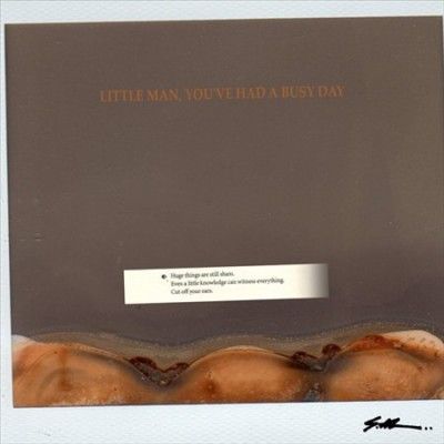 S.Al - Little Man You've Had A Busy Day (Vinyl)