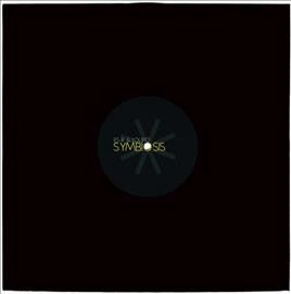Es - K - Symbiosis (Vinyl)