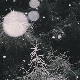 Over the Voids (Vinyl / 12" Album)