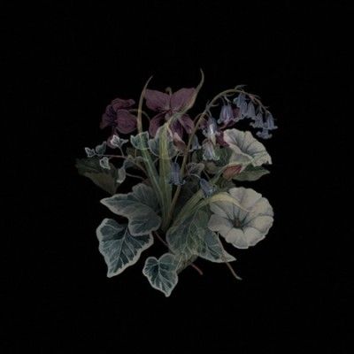 Wildflowers (Vinyl / 12" Album)
