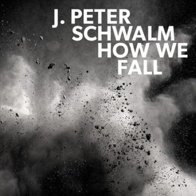 How We Fall (Vinyl / 12" Album)