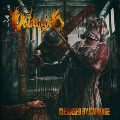 Cleansed By Carnage (Vinyl / 12" Album)