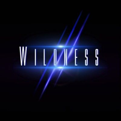 Wildness - Wildness (Vinyl)