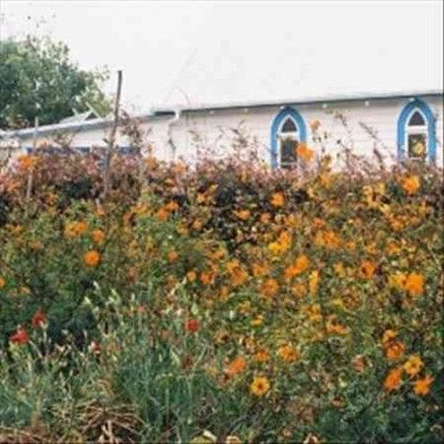 Kane Strang - Blue Cheese (Vinyl)