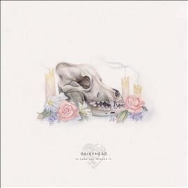 Daisyhead - In Case You Missed It (Vinyl)