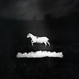 Les Discrets - Predateurs (Vinyl)