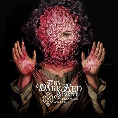 Becomes Awake (Vinyl / 12" Album)