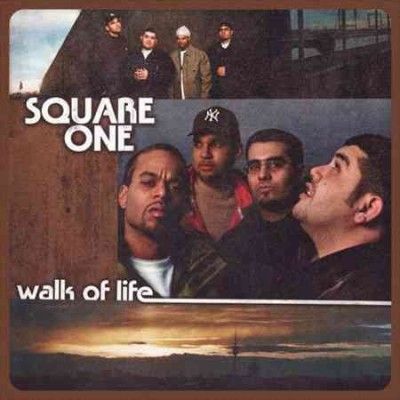 Walk of Life (Vinyl / 12" Album)