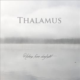 Hiding from Daylight (Vinyl / 12" Album)