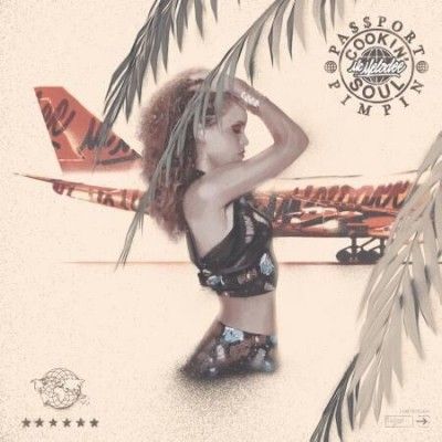 Mc Melodee - Passport Pimpin (Vinyl)
