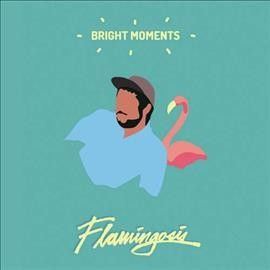 Flamingosis - Bright Moments (Vinyl)