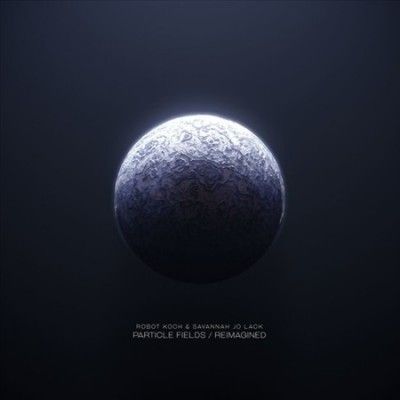 Robot Koch - Particle Fields/reimagined (Vinyl)