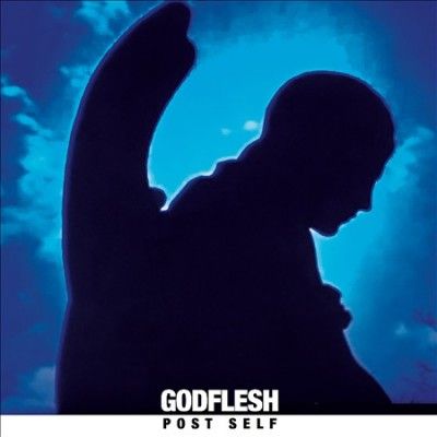 Post Self (Vinyl / 12" Album)