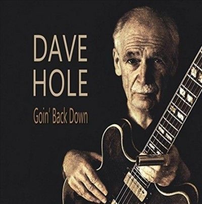 Dave Hole - Goin Back Down (Vinyl)