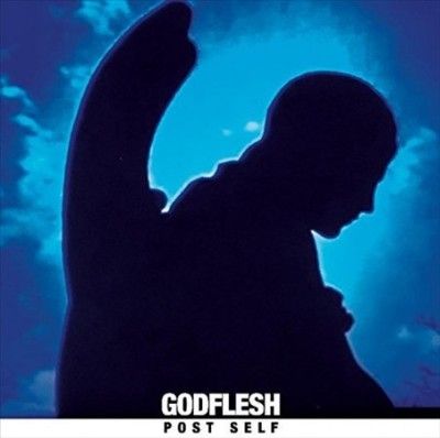 Post Self (Vinyl / 12" Album Coloured Vinyl)