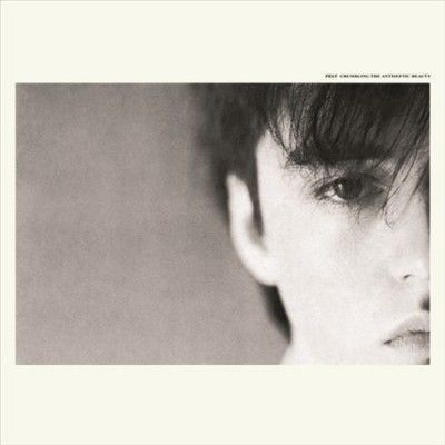 Felt - Crumbling The Antiseptic Beauty (Vinyl)