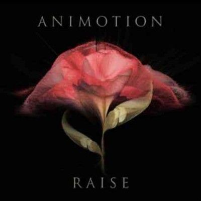 Raise Your Expectations (Vinyl / 12" Album)