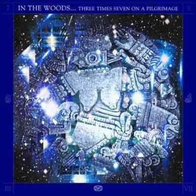 In The Woods - Three Times Seven On A Pilgrimage (Vinyl)