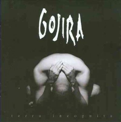 Terra Incognita (Vinyl / 12" Album)