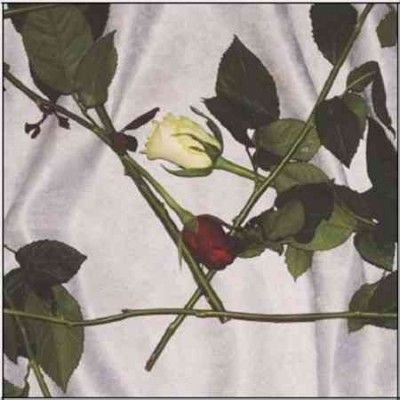 Chain Of Flowers - Chain Of Flowers (Vinyl)