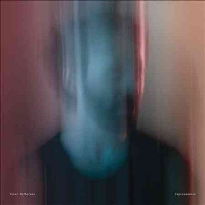 Peter Silberman - Impermanence (Vinyl)