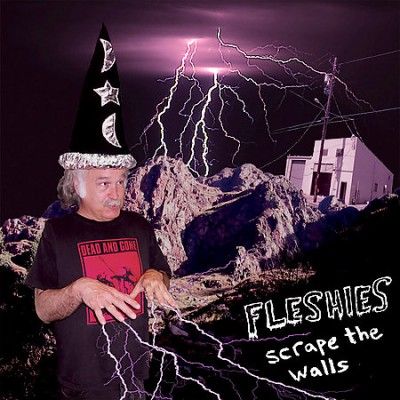 Fleshies - Scrape The Walls (Vinyl)