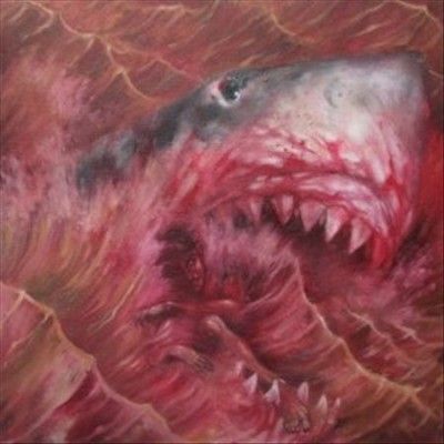 Akimbo - Jersey Shores (Vinyl)