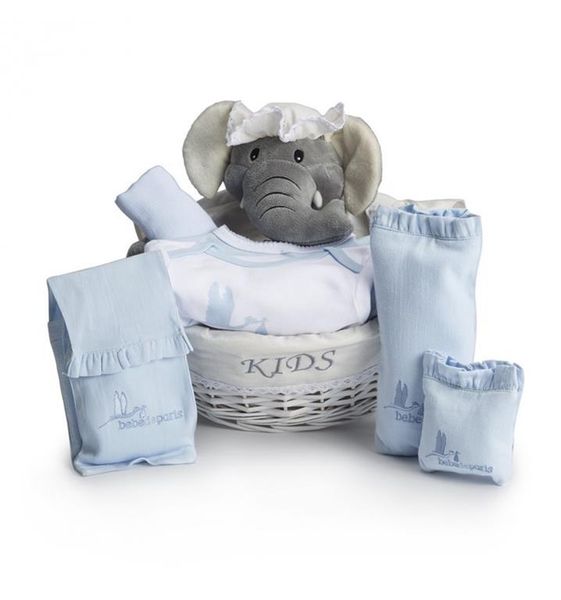 Bebedeparis Essential Post-Hospital Baby Gift Hamper - Blue