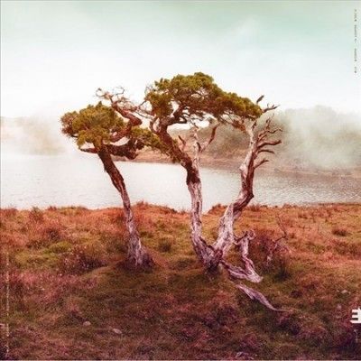Juniper (CD / Album)
