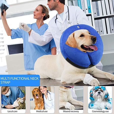 Protective Inflatable Pet Collar Size L Shop Today. Get it Tomorrow takealot