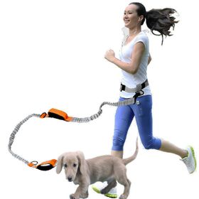 waist dog lead for 2 dogs