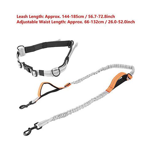 waist dog lead for 2 dogs