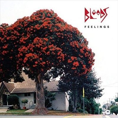Bloods - Feelings (Vinyl)