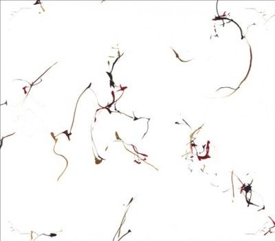 Various - Winged Serpents: Encomiuns For Cecil T (CD)