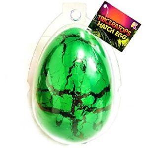 Nurchums Dino Hatching Egg - Triceratops