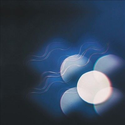 Thunder Follows the Light (Vinyl / 12" Album Coloured Vinyl)