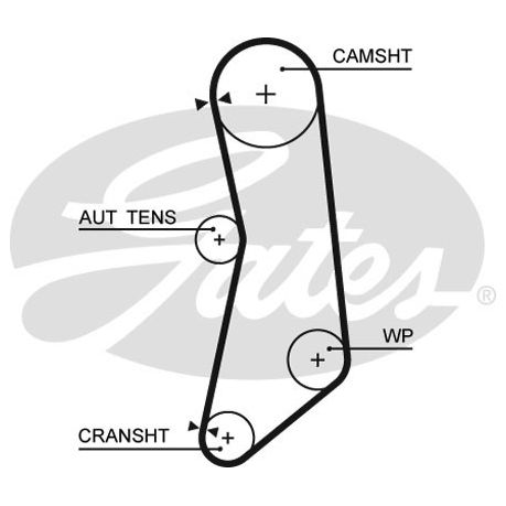 fiat 500 cambelt price