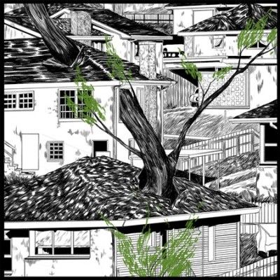 Pile - Odds And Ends (Vinyl)