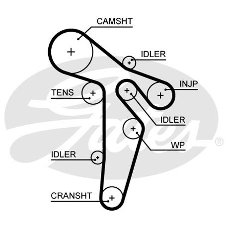 amarok cambelt change