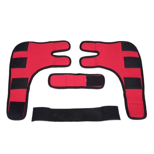 Dog Leg Brace - Red (Size: L)