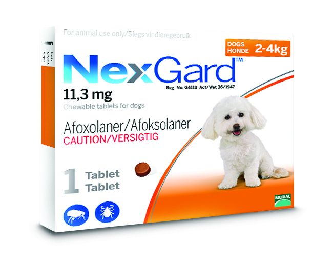 NexGard Chewable Tick &amp; Flea Tablet for Dogs - 2-4kg (1 Tablet)