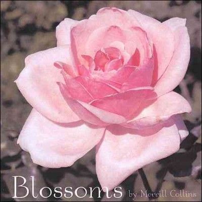 Merrill Collins - Blossoms (CD)