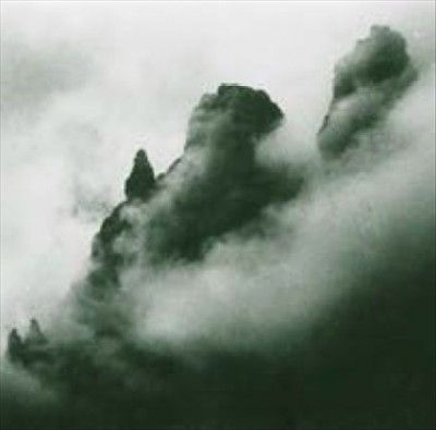 Massimo Toniutti - Il Museo Selvatico (Vinyl)