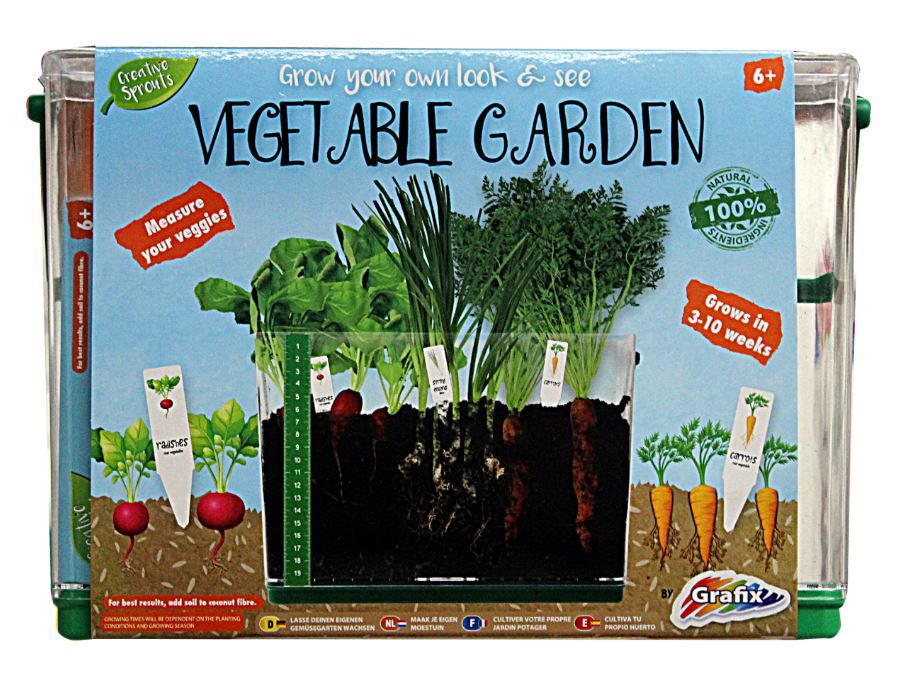 Creative Sprouts See Through Vegetable Garden Buy Online in South Africa