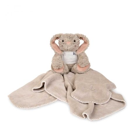 blanket inside stuffed animal