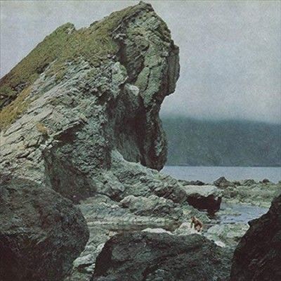 Many Nights (Vinyl / 12" Album)