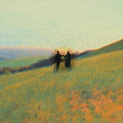 Haerts - New Compassion (Vinyl)